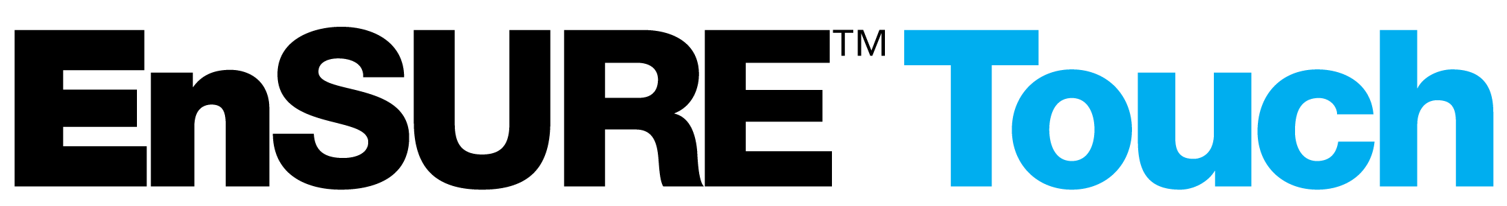 EnsureTouch Logo Final outline OneLine Full Color